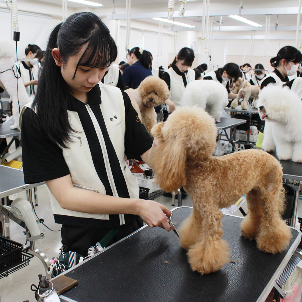 今日もかわいいお客様！